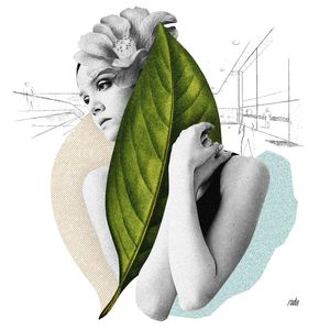 BIGLEAF 2
