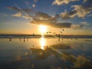 FISHERMAN WAIHI BEACH