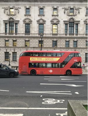 RED BUS