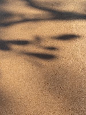 (SÉRIE) ÁGUA SALGADA CURA TUDO 1