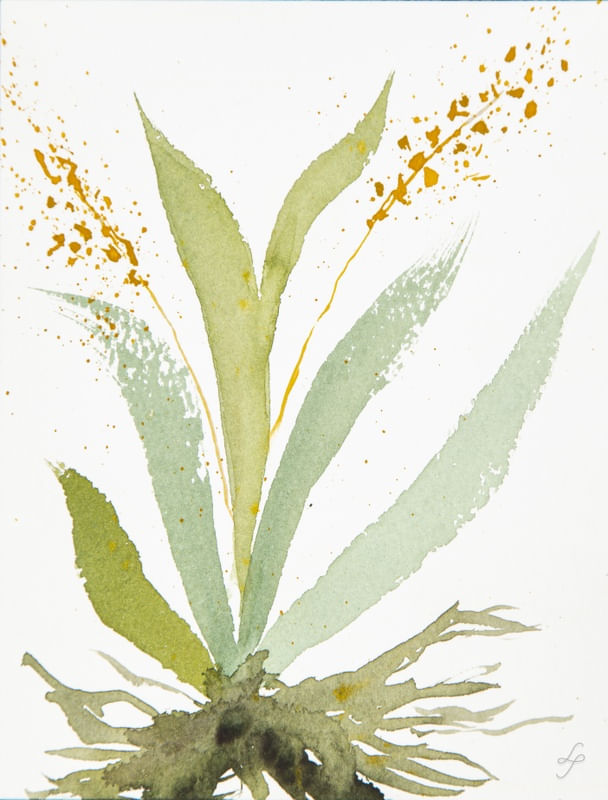 AQUARELA BOTÂNICA 03