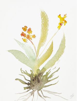 AQUARELA BOTÂNICA 04