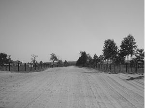ESTRADA P&B