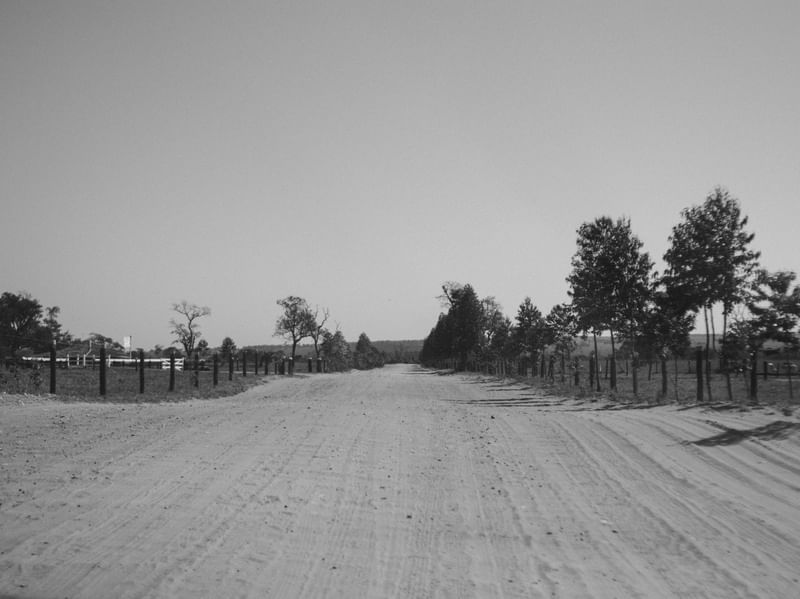 ESTRADA P&B