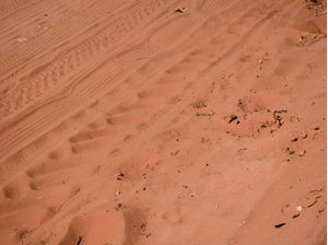 AREIA COLOR