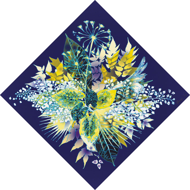 CYANOTIPIC BOTANIC
