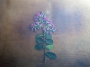 FLORZINHA ROSA I COM EFEITO JATEADO