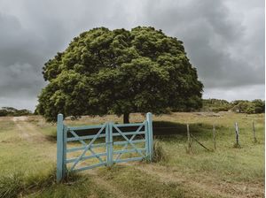 A ENTRADA