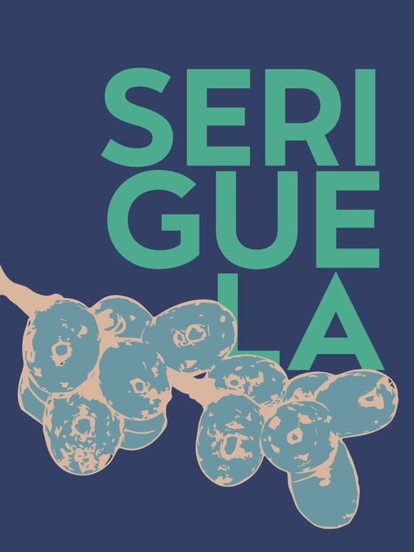 SERIGUELA 004 - P