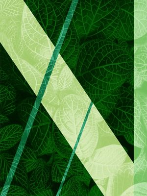 GEOMETRICOS - 61B