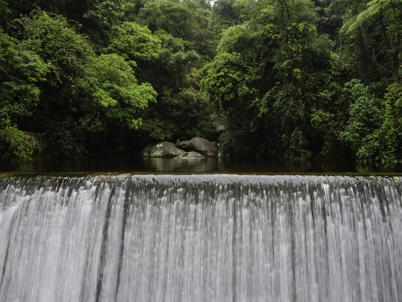 VERDE - ÁGUA
