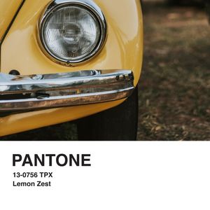PANTONE IV