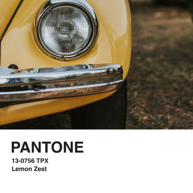 PANTONE IV