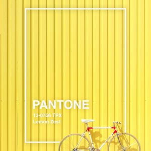 PANTONE V