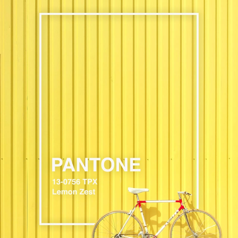 PANTONE V