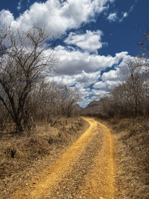 CAMINHOS DO SERTAO_ENCANTADO_QUIXERAMOBIM