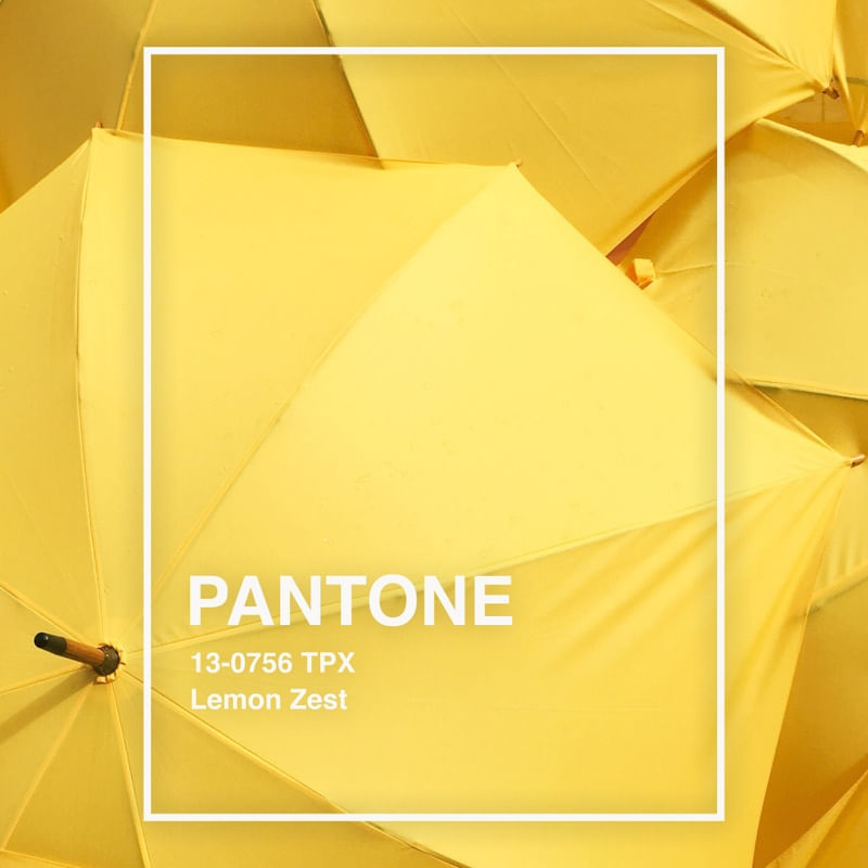 PANTONE VII