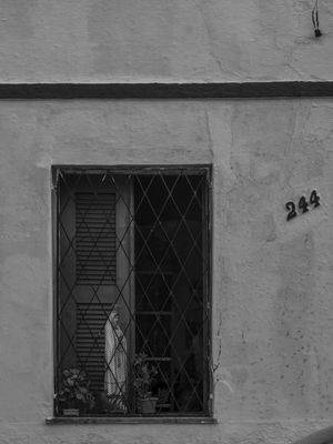 JANELAS_MARANGUAPE_PNW