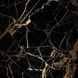 BLACK GOLDEN XIII