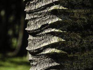 CURVAS DA NATUREZA