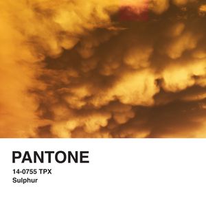 PANTONE XI