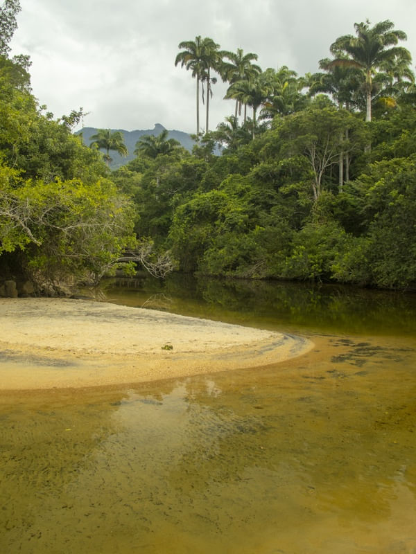 BICO DO PAPAGAIO EM ILHA GRANDE - RIO DE JANEIRO