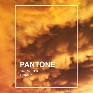 PANTONE XIV