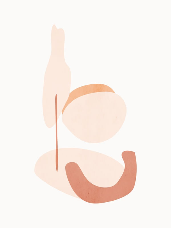 FORMAS ORGANCIAS EM ROSA 1