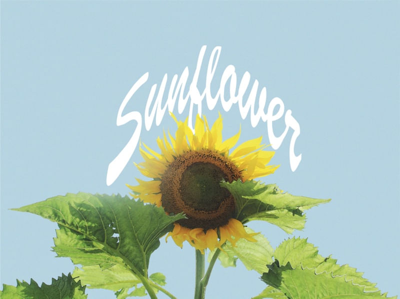 SUNFLOWER.EDIT