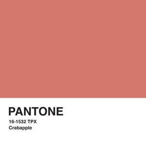 PANTONE XIX