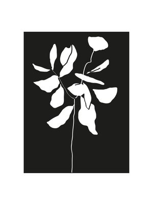PLANTA REFLEXO