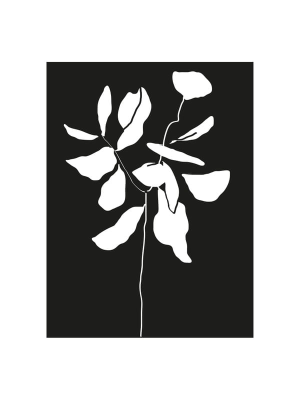PLANTA REFLEXO