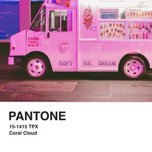 PANTONE XXI