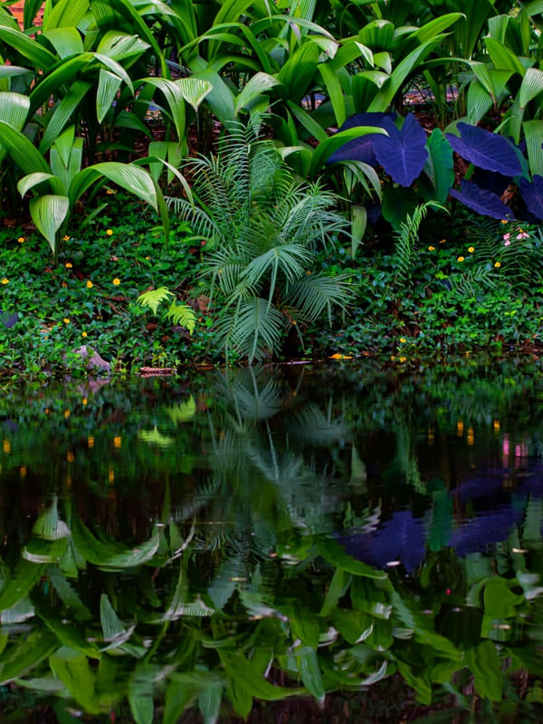 NATUREZA AZUL 1