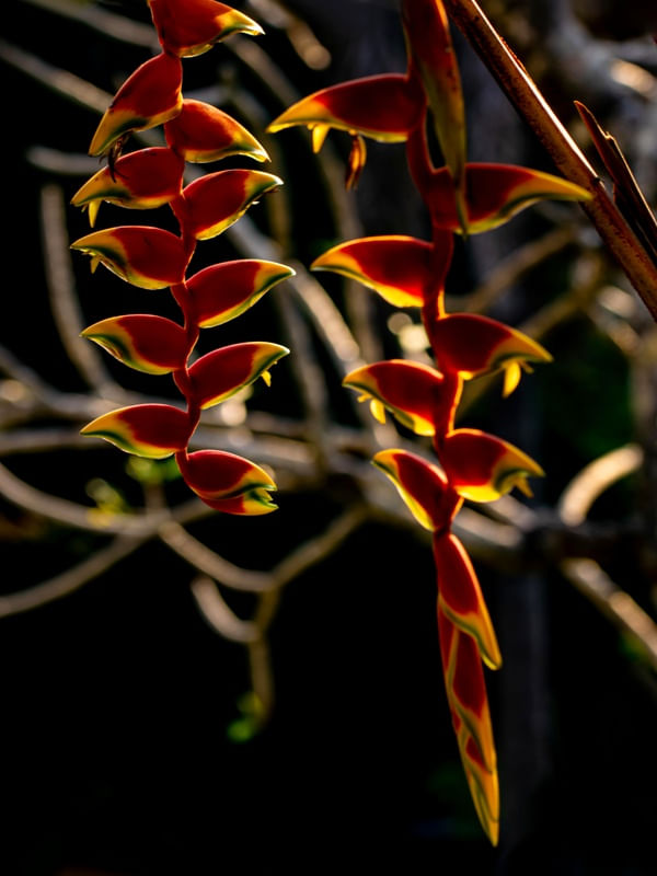 LUZ E SOMBRA AO SOL