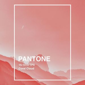 PANTONE XXIII