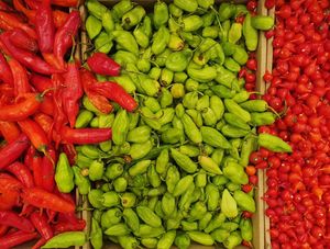 PIMENTA PIMENTA PIMENTA