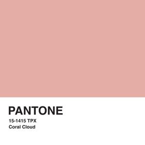 PANTONE XXVI