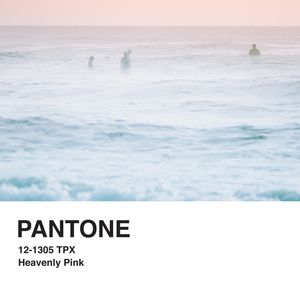 PANTONE XXVII