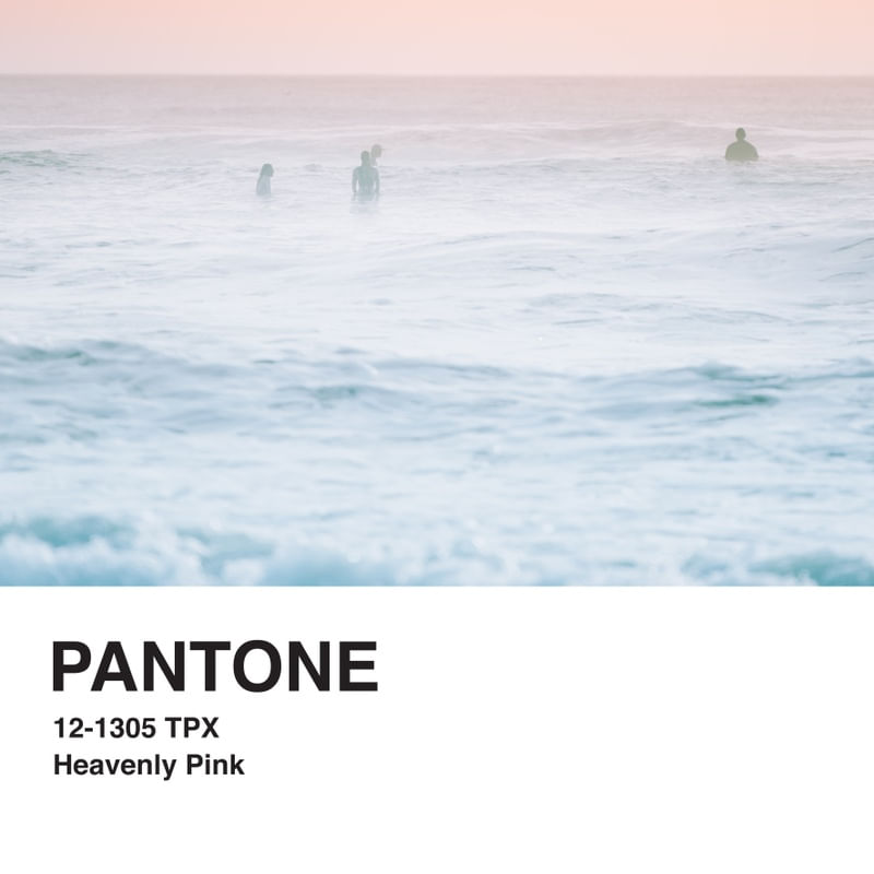 PANTONE XXVII