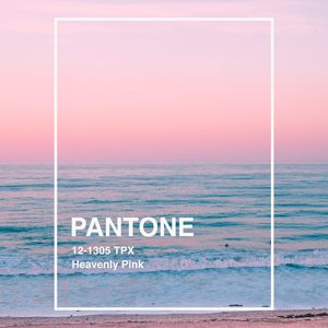 PANTONE XXIX
