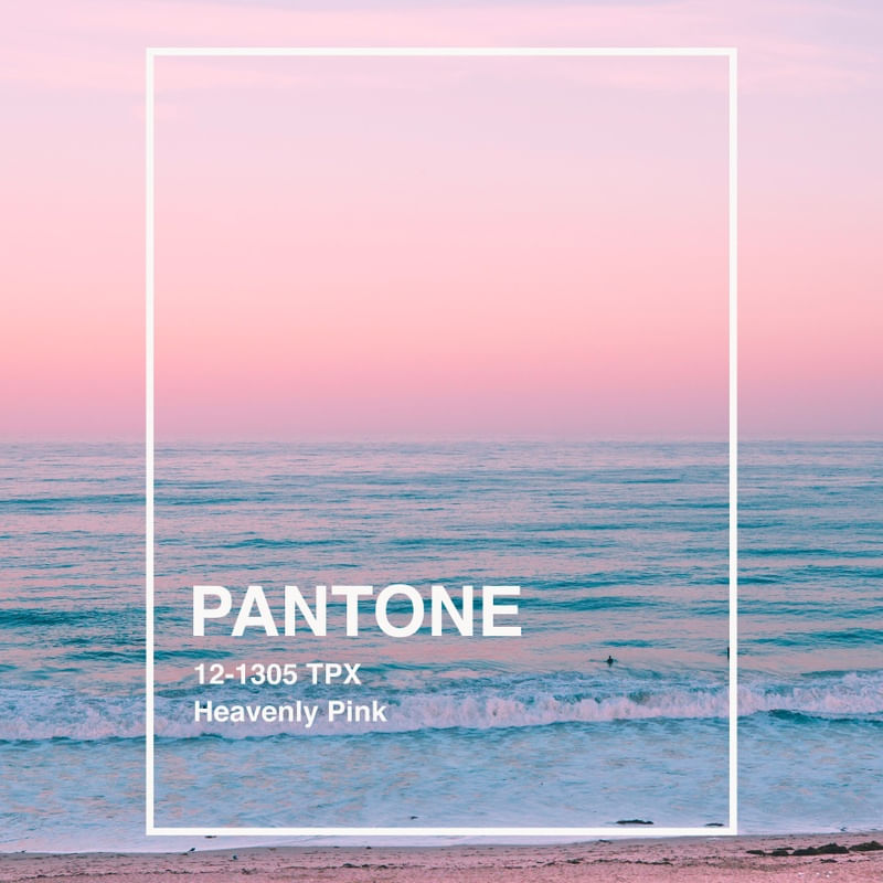 PANTONE XXIX