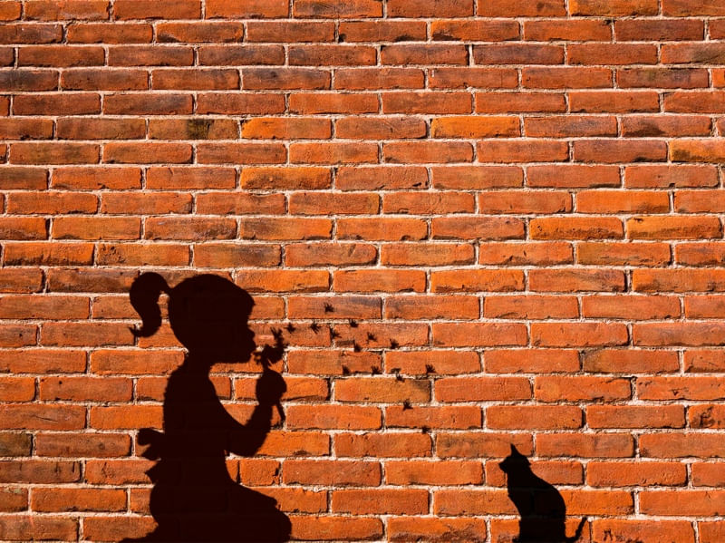 MURO MENINA E O GATO