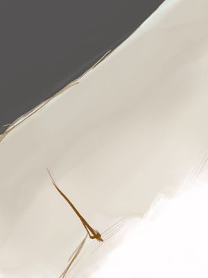 TONIAL 01
