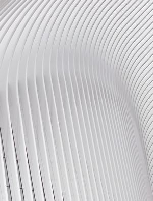 NEW YORK LINES