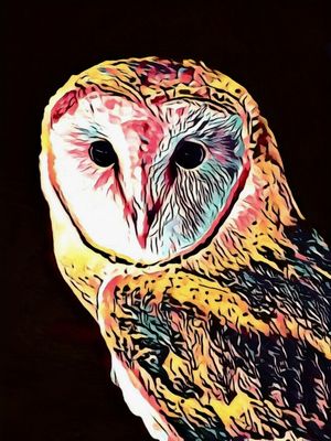 COLORFUL BIRDS : OWL