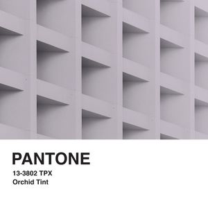 PANTONE XXXVII
