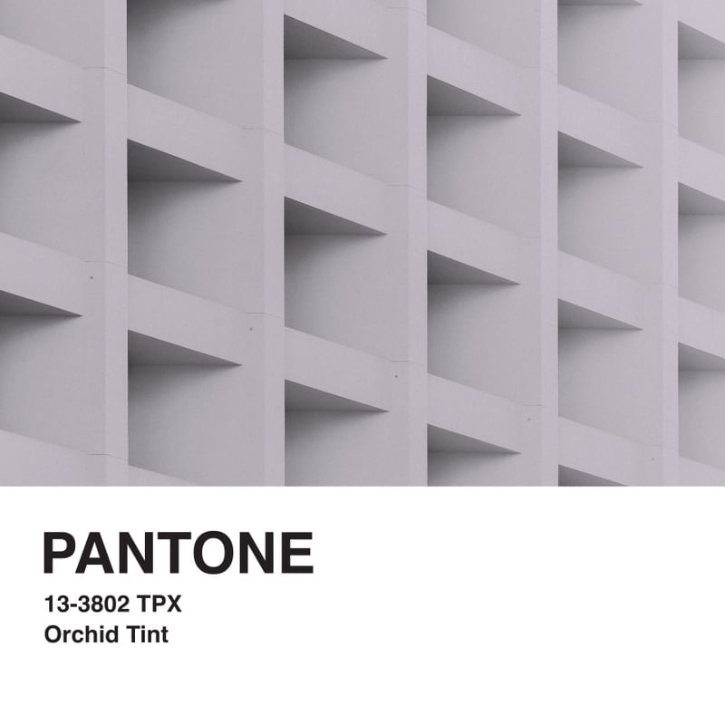 PANTONE XXXVII