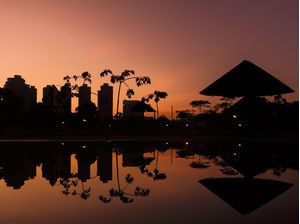 AMANHECER NO PARQUE