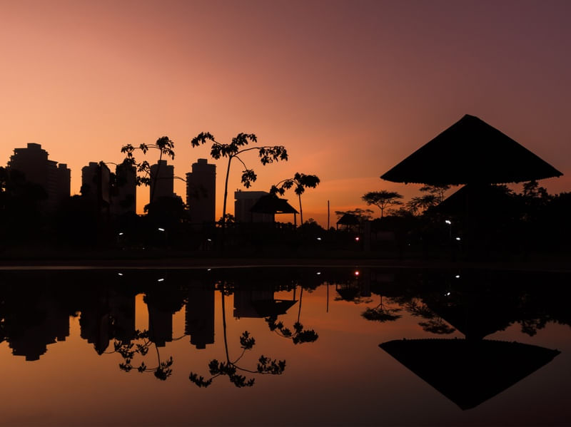 AMANHECER NO PARQUE